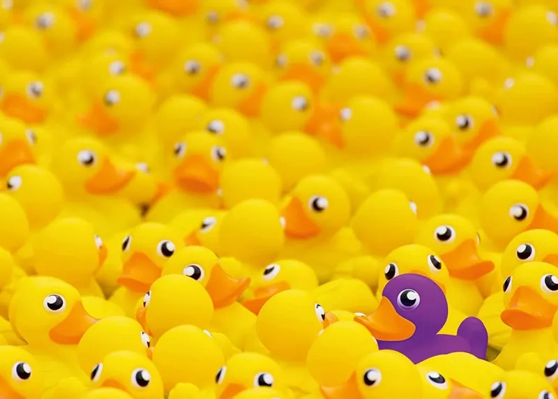 Enten