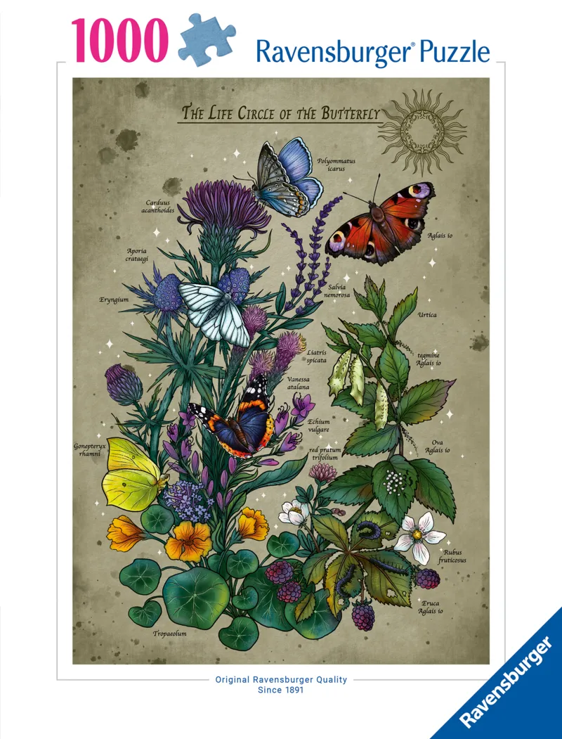 Der Lebenskreis des Schmetterlings