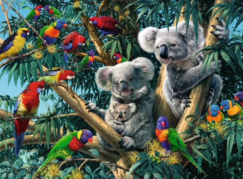 Koalas im Baum