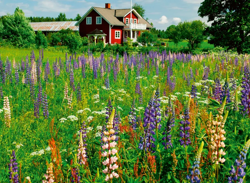 Bauernhof in Schweden (Puzzle Highlight, Scandinavian)