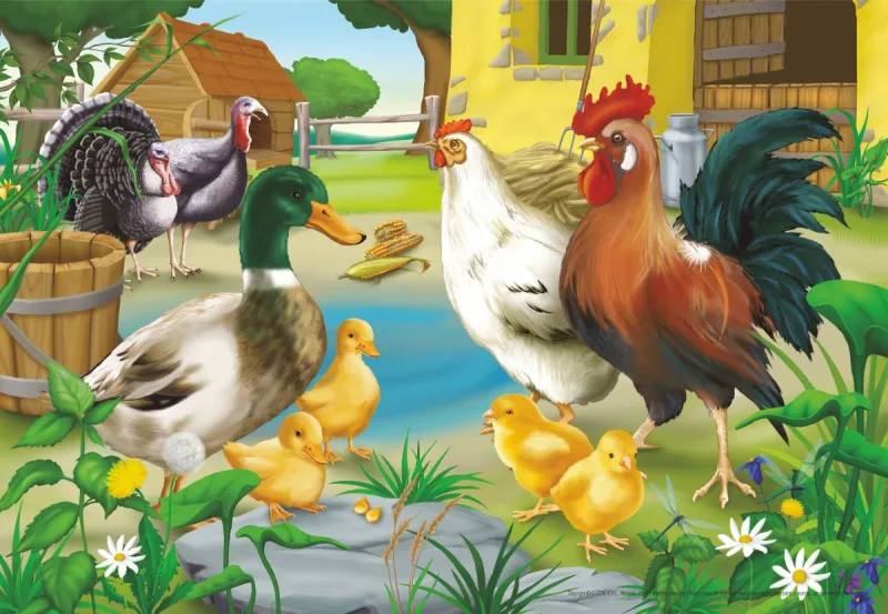 Tiere vom Bauernhof: Huhn, Hahn, Ente und Kücken