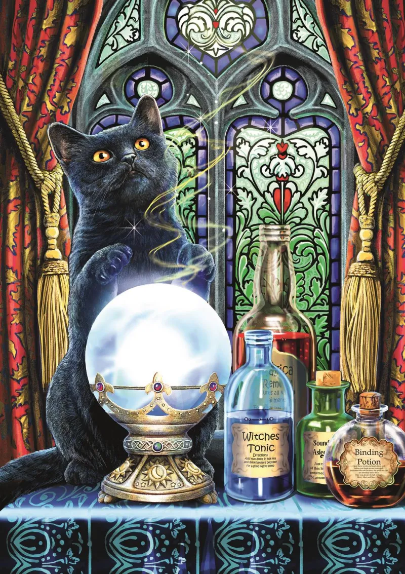 Magische Sammlung: Der Hexenlehrling