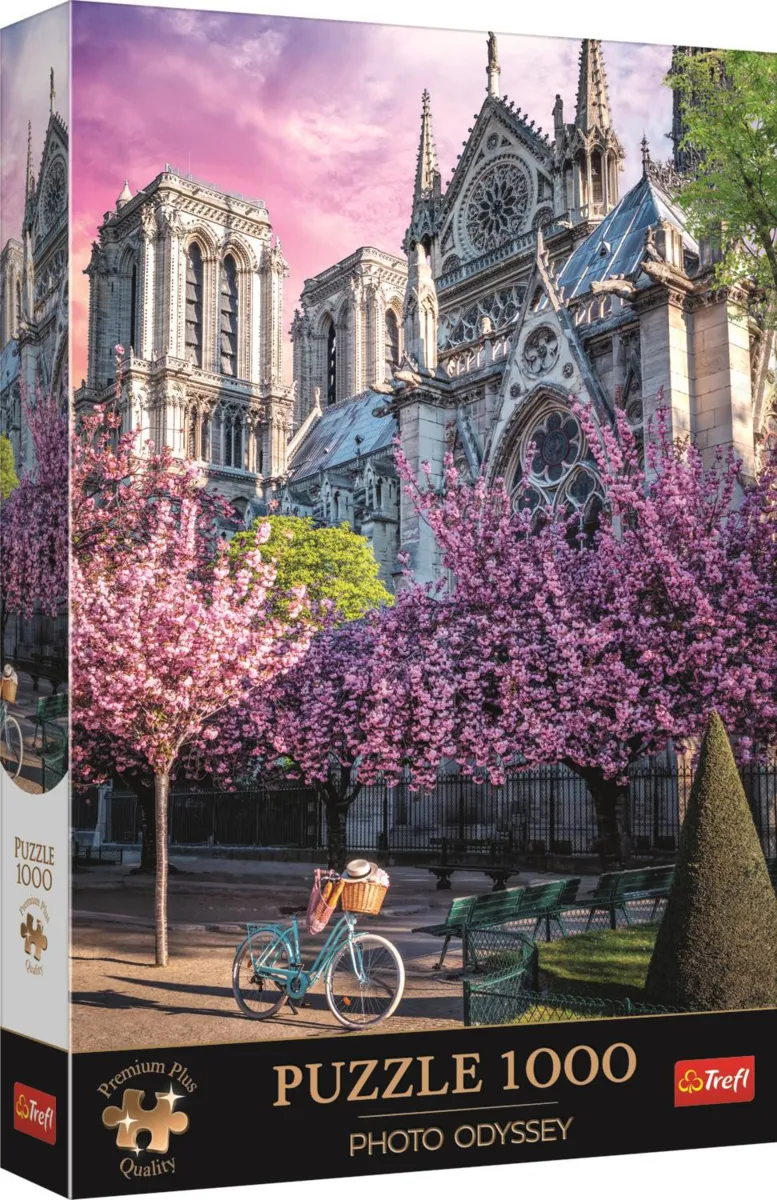 Odyssee Foto: Kathedrale Notre-Dame De Paris