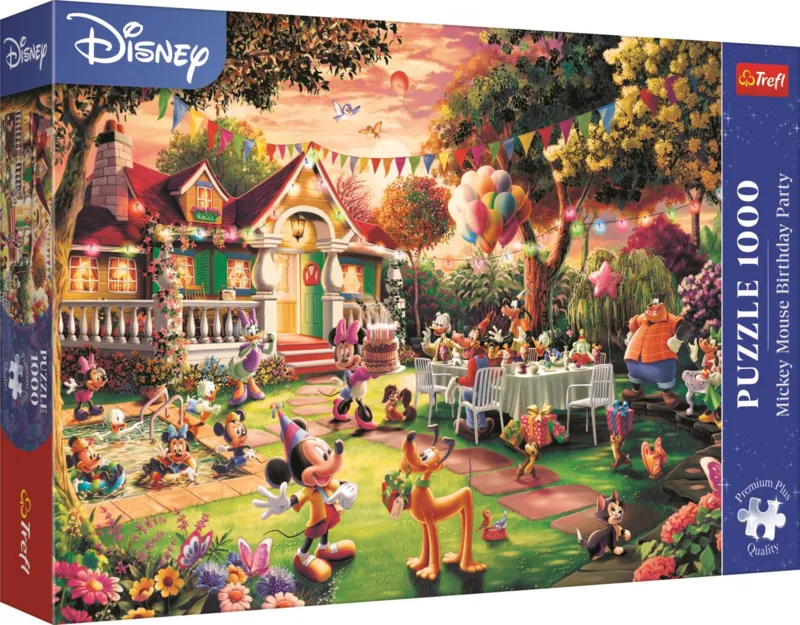 Mickey Mouse Geburtstagsfeier