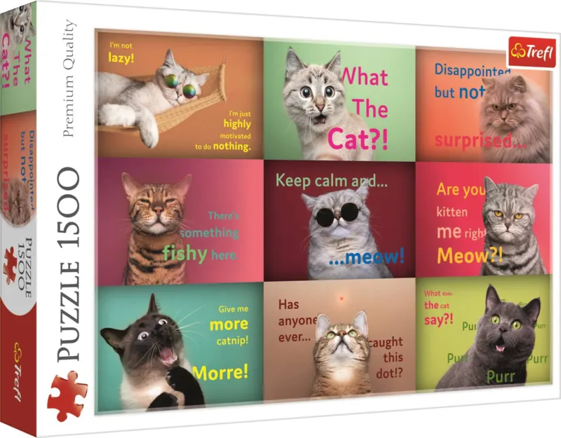 Lustige Katzen Gesichter