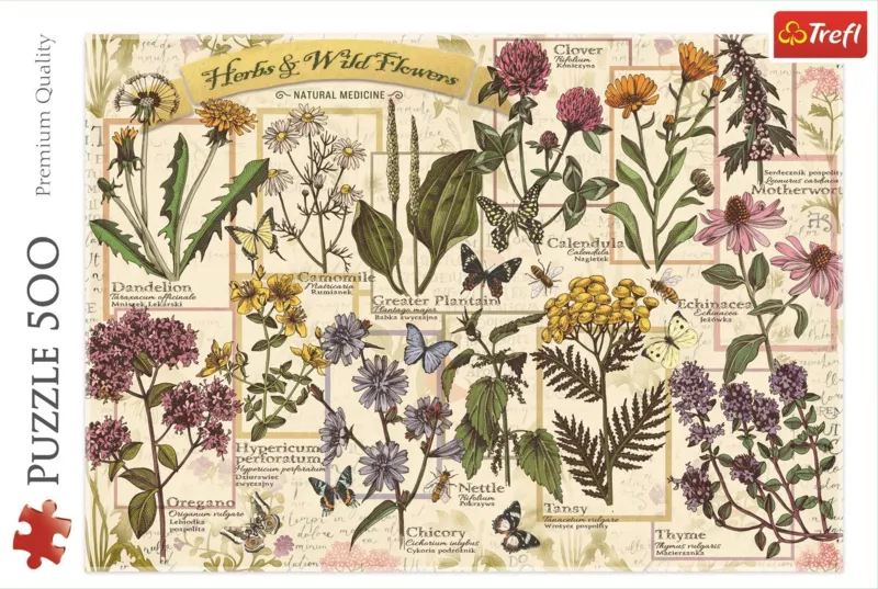 Herbarium: Heilkräuter