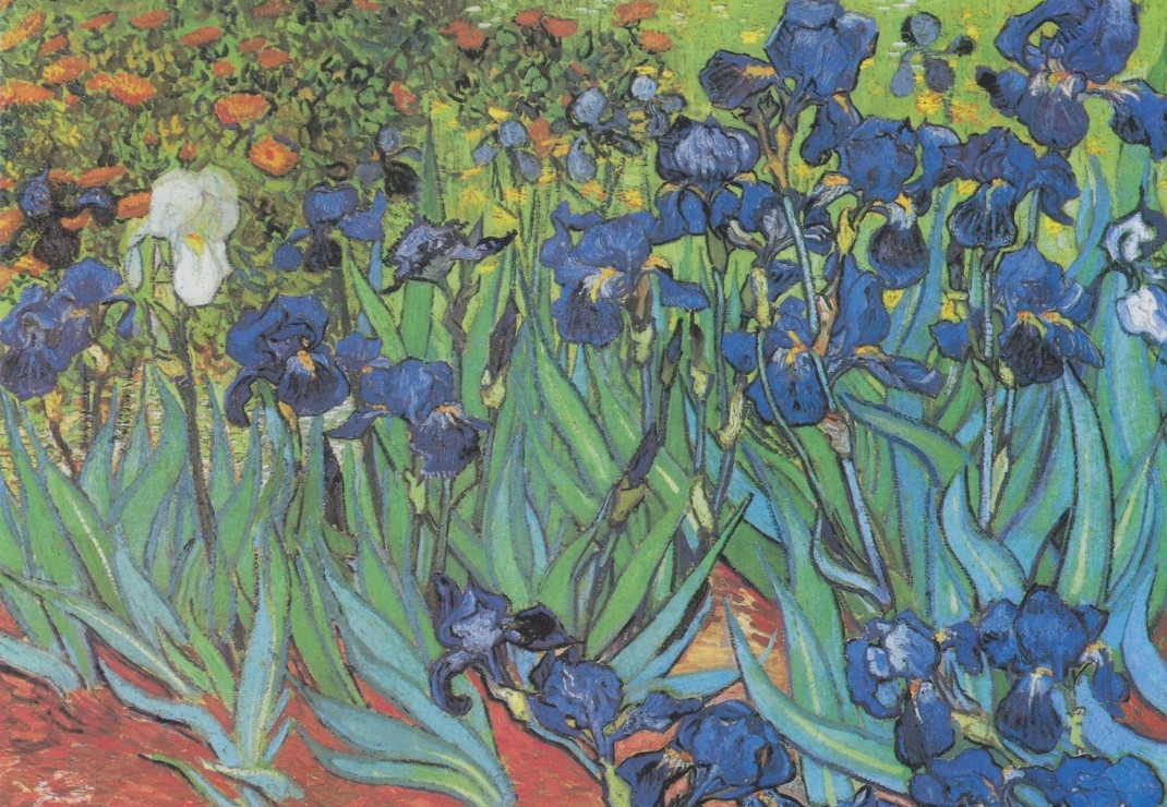 Van Gogh Vincent - Saint-Remy - Les Iris, 1889