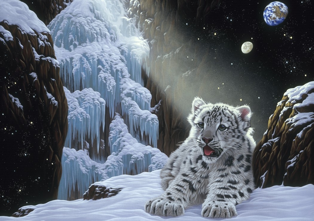 Schim Schimmel - Ice House