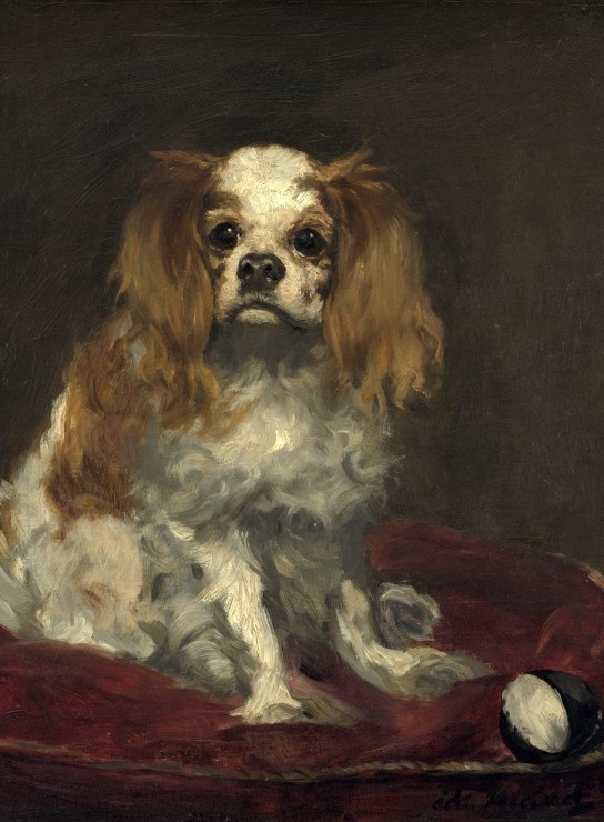 Edouard Manet: A King Charles Spaniel, 1866
