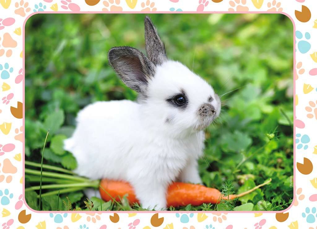 Little Bunny and His Carrot