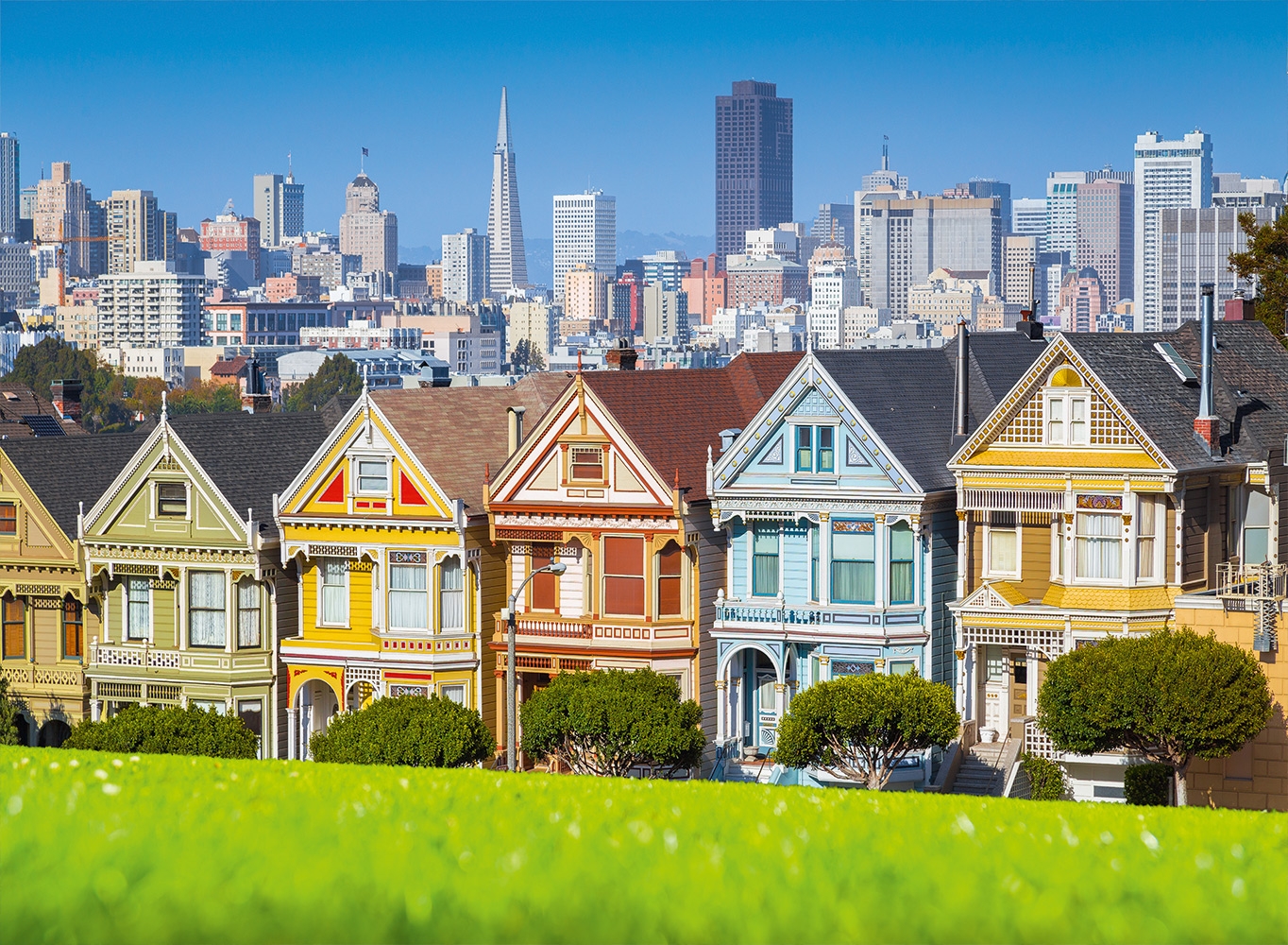 San Francisco, Painted Ladies