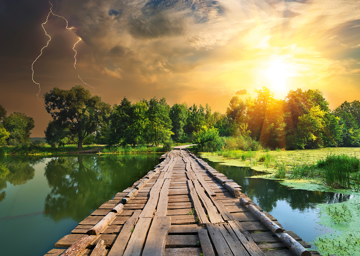 Nature Edition N°3: Mystisches Licht