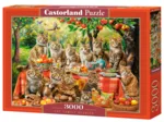 Familientreffen der Katzen