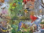 Birds of the Season