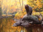 Black Bear Pond