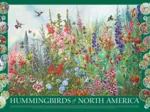 Hummingbirds of North America