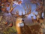 XXL Teile - Deer and Pheasant