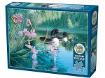 Seetaucher in der Lilienbucht