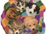 Litter of Puppies