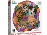 Litter of Puppies