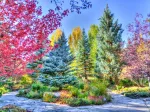 Bunter Wald, Colorado, USA