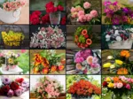 Collage - Blumen