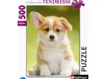 Niedlicher Corgi