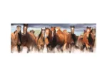 XXL Teile - Panorama-Puzzle - Horses in the Water