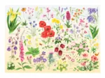 Wildblumen