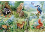 XXL Teile - Naturstudie