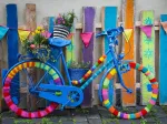 My Beautiful Colorful Bike