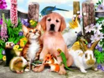 Good Companions