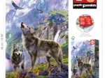 Wolves In The Rocks