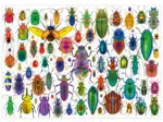 Beetles