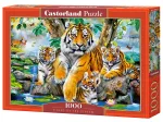 Tiger am Strom