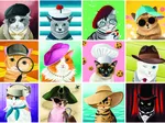Cats with Hats