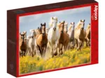 Course de Chevaux