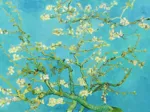 Vincent van Gogh: Mandelblüte