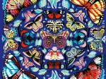 Kaleido-Schmetterlinge – Familienpuzzle mit 500 Teilen