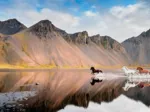 Iceland Horses