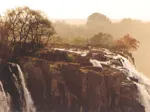 Puzzle 1000 Teile Panorama - Edition Humboldt: Elefant