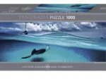 Puzzle 1000 Teile Panorama - Alexander von Humboldt: Stingray