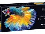Colourful Nature - Fish