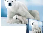 Eisbär und Baby