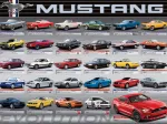 Ford Mustang Evolution