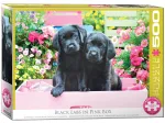 XXL Teile - Black Labs in Pink Box