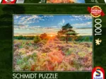 Heide im Sonnenuntergang