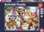 Cats' Selfy
