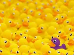 Enten