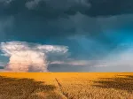 Nature Edition - Mystisches Regenbogenwetter